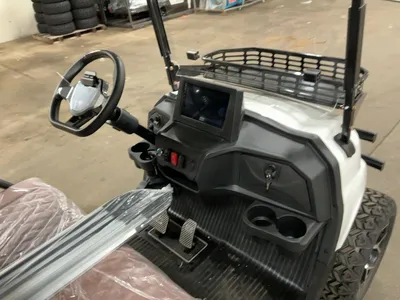 Used 2026 SDLANCH HQ100 Golf Carts Michigan US | Miedema Asset Management Group #1477060