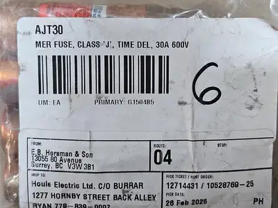 Used FERRAZ SHAWMUT AJT30 Fuses British Columbia CA | Lenmark #1488999