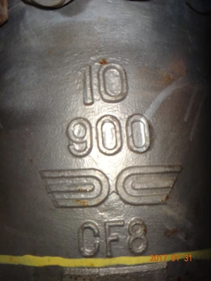 Takamisawa 10", Class 900, SS, Gate Valve