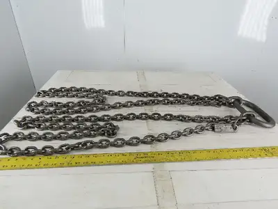 ACCO 81C1561 Double Basket Continuous Chain Sling 3/8" X 5'7" 11400Lb at 60°