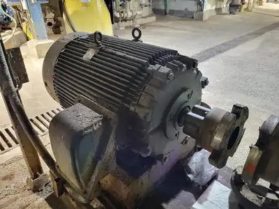 USED GOULDS 3175L