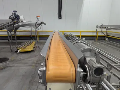 14'L 6''W Transfer Conveyor