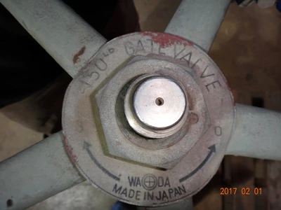 Wada 10", Class 150, CF8M, Gate Valve
