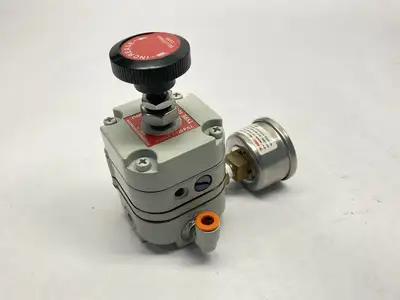 Type 10-HR | BelloFram  High Relief Capacity Precision Regulator 1/4" -  Used