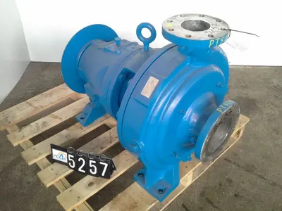USED Goulds 3175