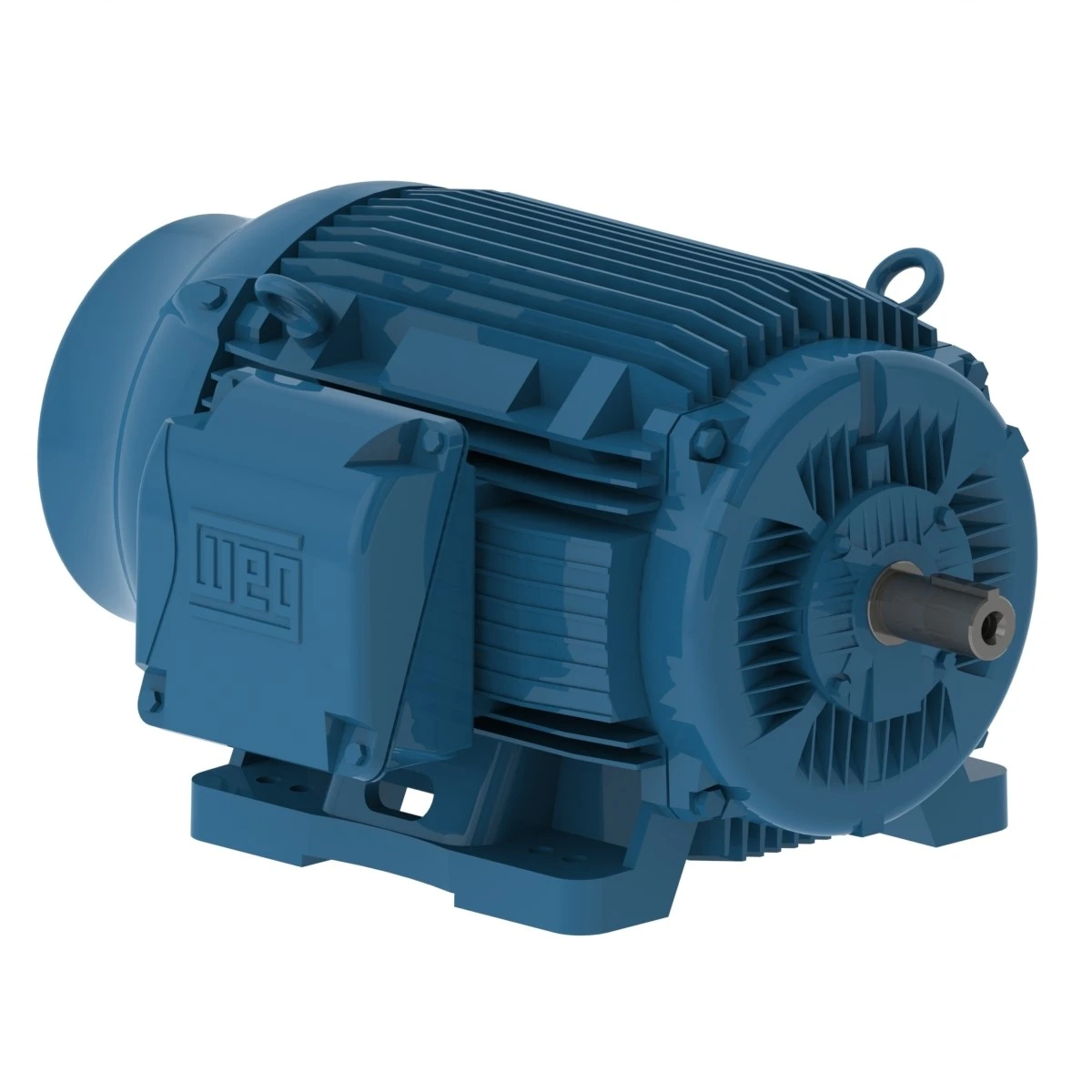 BRAND NEW 100 HP WEG AC MOTOR FROM OEM