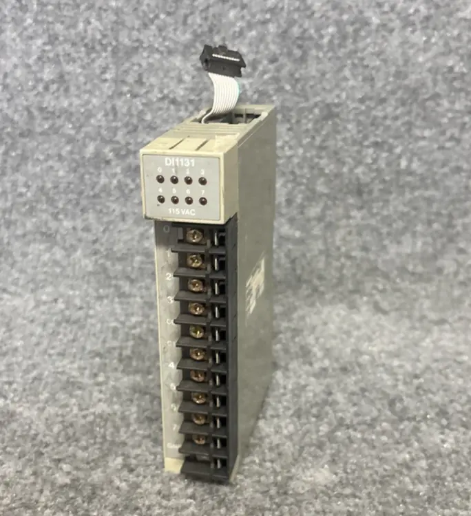 Used Modico DI-1131-000 PLC Input & Output California US | Davliegogo LLC #1705886