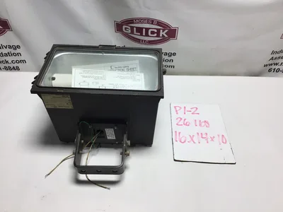 Day-Brite Lighting FLI250MMT Floodlight 250W 120V 60Hz 2.60A