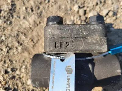 3/4" Class 800 Check Valve B16.34