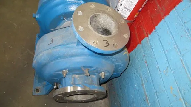 USED Goulds 3175