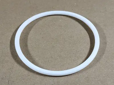 Wilden Teflon O-Ring 15-1200-55 (Bag of 16 pcs)