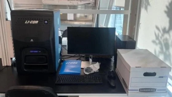 Used LI-COR ODYSSEY XF Imaging Systems / Molecular Imagers New Jersey US | Bionex Scientific LLC #800711