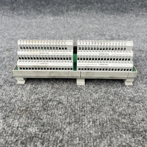 Used Allen-Bradley 1492-IFM40F-3 Input / Output Modules California US | Davliegogo LLC #1706762