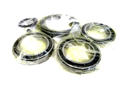 NEW NEXEN 914000 REPAIR KIT 5H70PSP-1