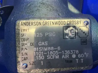 Used ANDERSON GREENWOOD CROSBY 81S1M886 Pumps Ohio US | HGR 24 #1315011