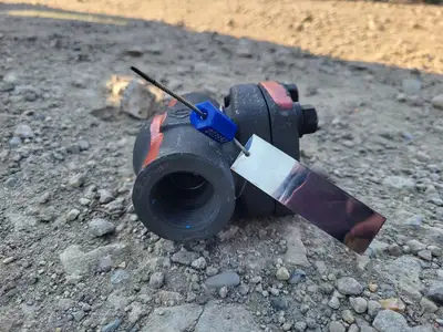 1" Class 800 Check Valve API 602