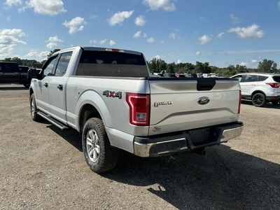 Used 2016 FORD F-150 Pickup Trucks Michigan US | Miedema Asset Management Group #1425119