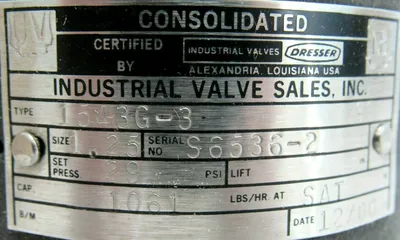 NEW CONSOLIDATED 1543G-3 RELIEF VALVE 1543G3 1-1/4"