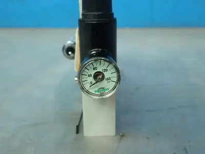 Numatics 150 Psi Solenoid Valve Assembly