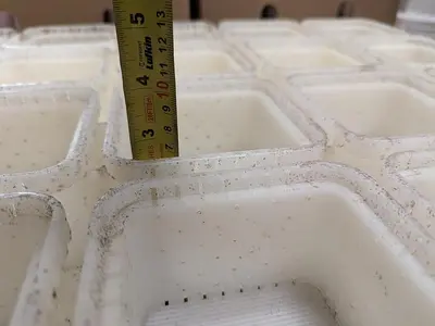 Cheese Molds