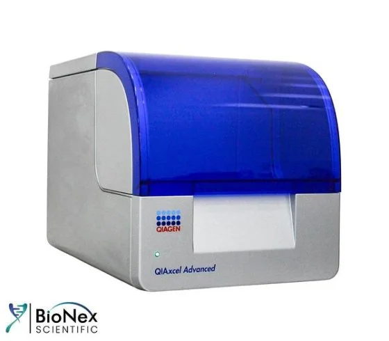 Used QIAGEN QIAXCEL ADVANCED Electrophoresis New Jersey US | Bionex Scientific LLC #800004