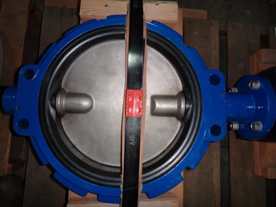 Allen Sherman Hoff (ASH) 12" Butterfly Valve