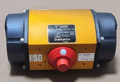 NEW Flowserve 25 39SN