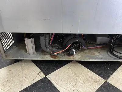 Used Glastender Used Glastender MF48-SF2 Under bar Commercial Glass/Mug Froster 48"W X 24"D 120V Underbar Equipment Illinois US | Falcon Restaurant Supply #1376508