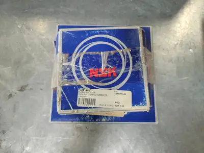 Cylindrical Roller Bearing NU219WC3