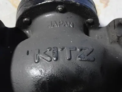 Kitz Corporation 2" Globe Valve