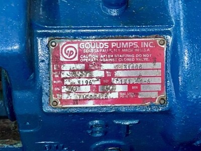 USED Goulds 3196ST