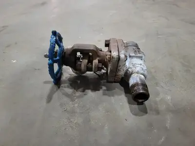 3/4" Class 800 Gate Valve B16.34