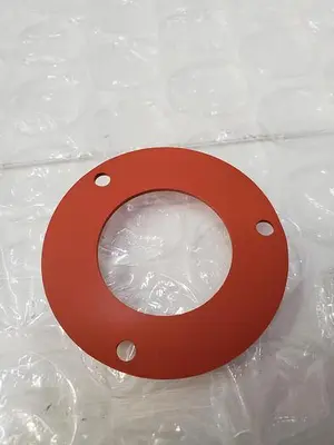USED GASKET 013704