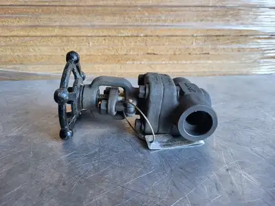 3/4" Class 800 Gate Valve B16.34