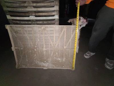USED 2019 MCKENZIE Tunnel Dryer