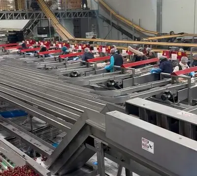 USED 2019 RED PEARL 360