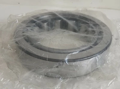 NEW NSK Nippon Seiko NJ324W