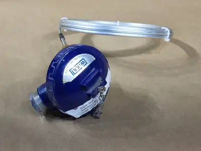 12' Averaging RTD Sensor