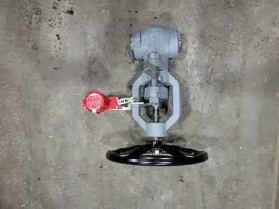 2" Class 900 Globe Valve B16.34