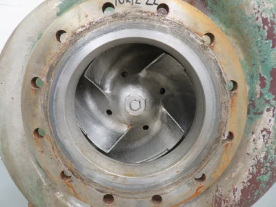 USED Goulds 3175