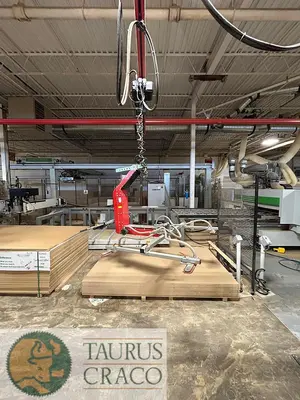 USED 2019 BARBARIC B3 DL HK 250 VACUUM LIFTER