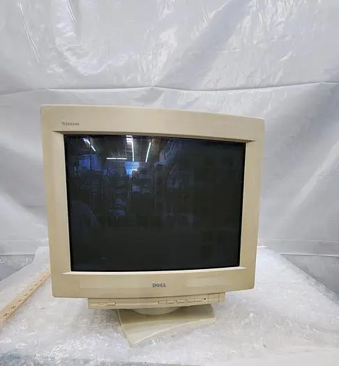 DELL COMPUTER COLOR GRAPHIC DISPLAY ULTRASCAN 1000HS SERIES D1025TM