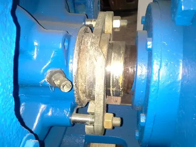 USED Goulds 3175