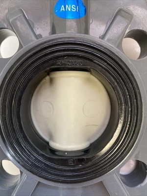 NEW Thermoplastic Valves Inc. DN050-2” ANDI