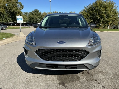 Used 2022 FORD ESCAPE Utility Vehicles Michigan US | Miedema Asset Management Group #1732726