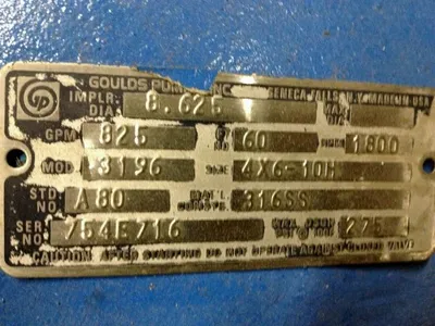 USED Goulds 3196 MTX