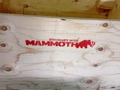 NEW MAMMOTH DPF84716