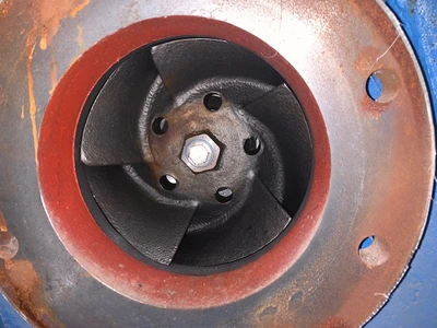 USED Goulds 3196