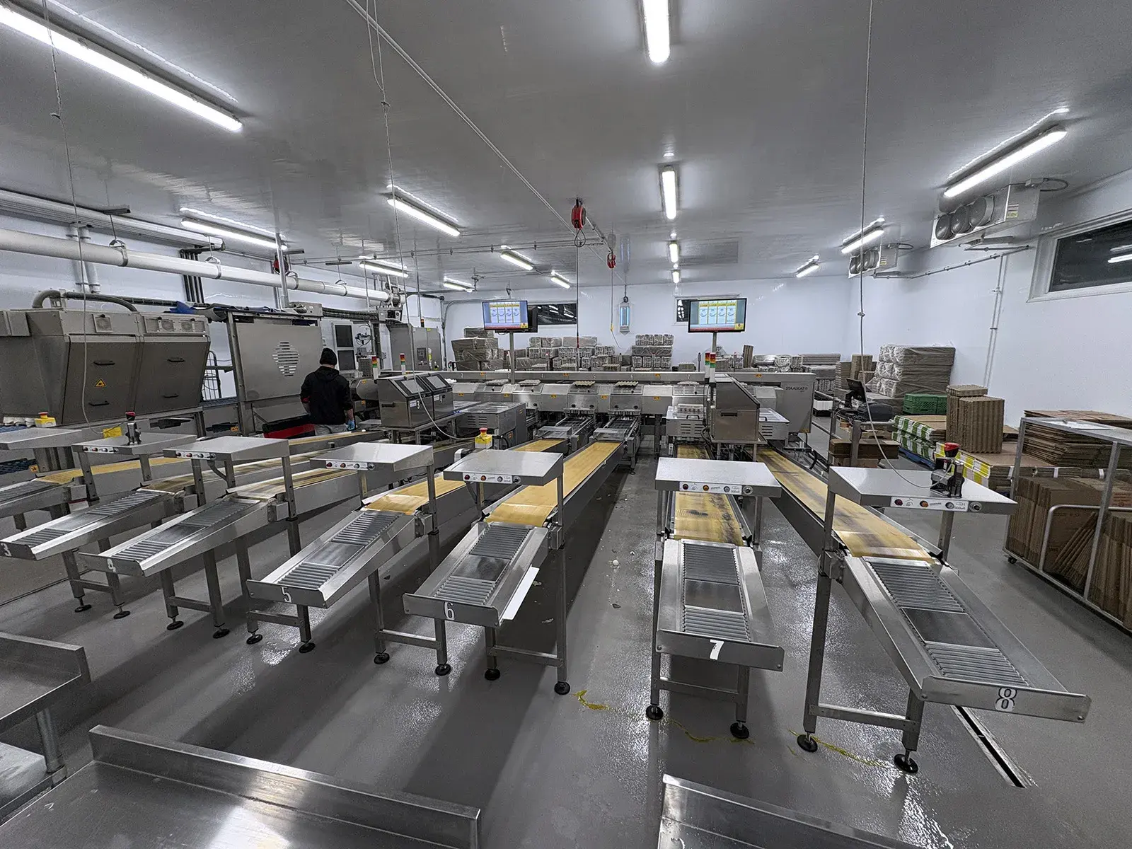 Used 2017 SANOVO 100 Egg Systems Illinois US | Machinery Marketing International #1314132