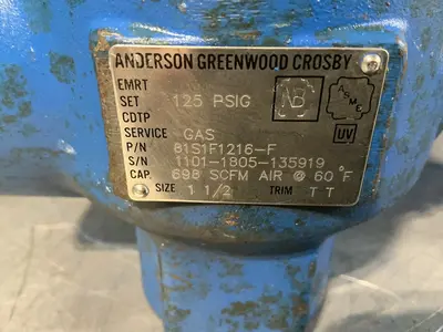 Used ANDERSON GREENWOOD CROSBY 81S1F216F Pumps Ohio US | HGR 24 #1314733
